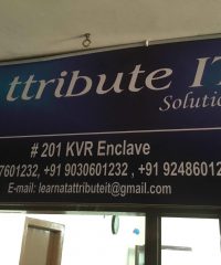 Attribute It Solutions