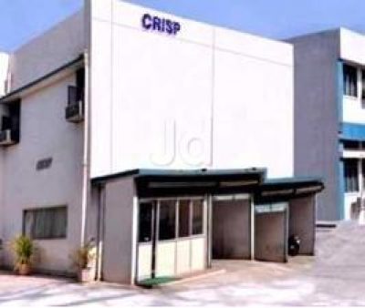 Crisp