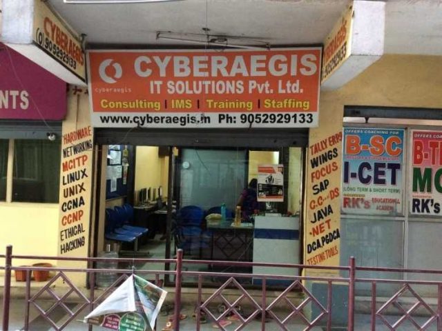 Cyberaegis