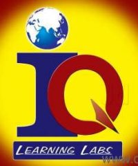 I Q Learning Labs, SAP Training Institute in Vijayawada