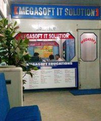 Megasoft Education