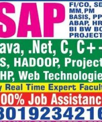 My Career Way, SAP Training Institute Visakapatnam