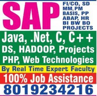 My Career Way, SAP Training Institute Visakapatnam