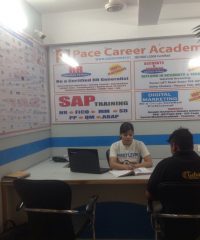 Pace Career Academy Delhi