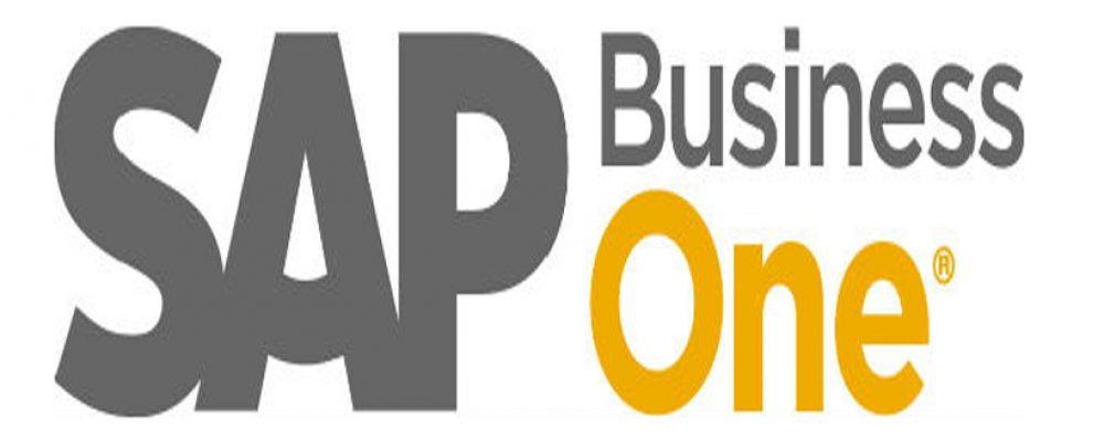 SAP Business Objects Business Intelligence platform