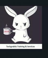 Techgrabitz Training & Services