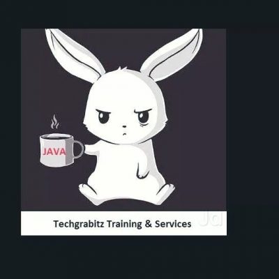 Techgrabitz Training &#038; Services